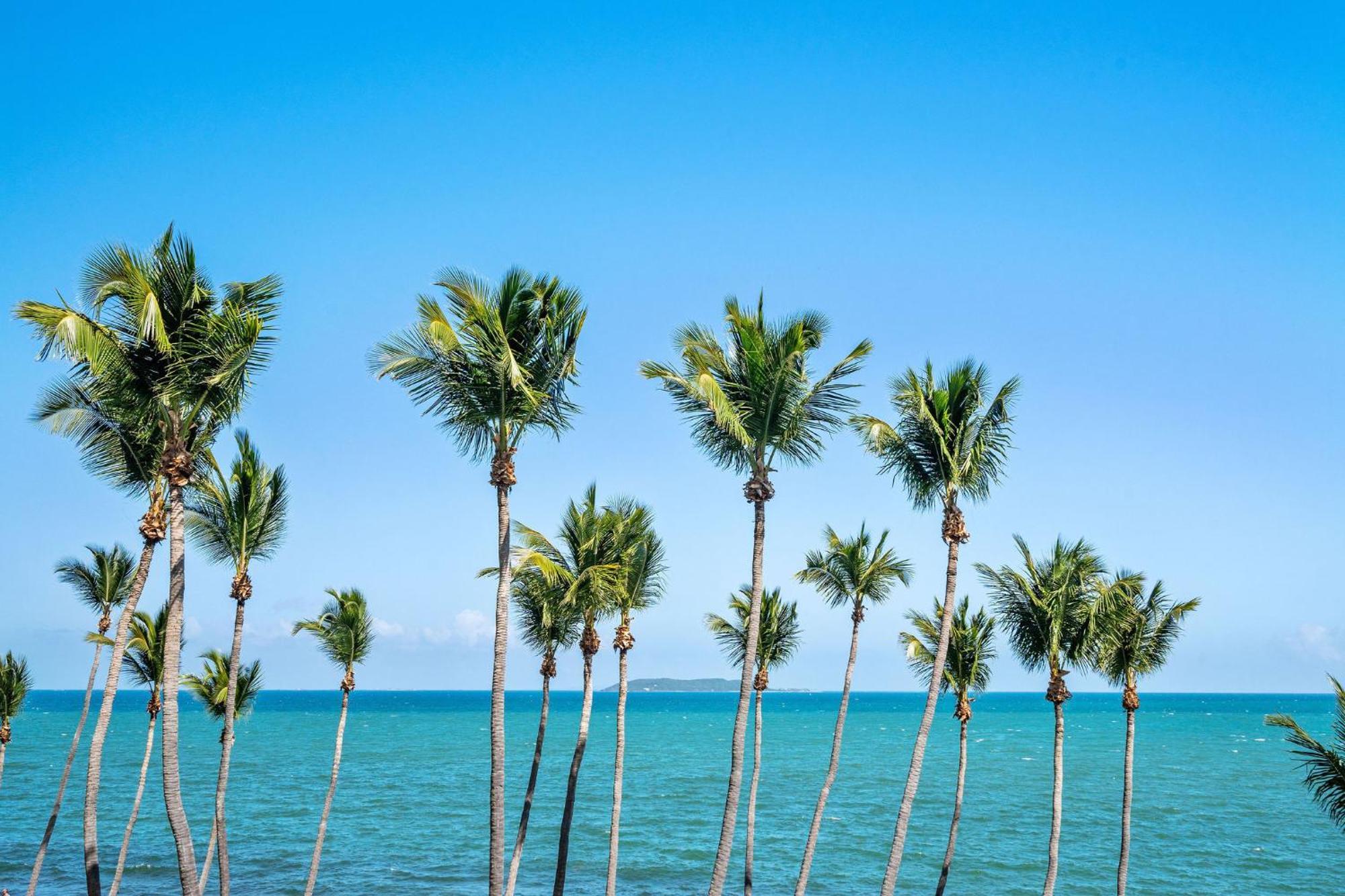 Апартаменты Your Ocean Zen Oasis Фахардо Экстерьер фото
